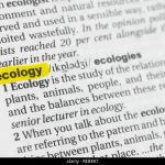 Terrestrial Ecology – What is an Ecology Ecosystem?
